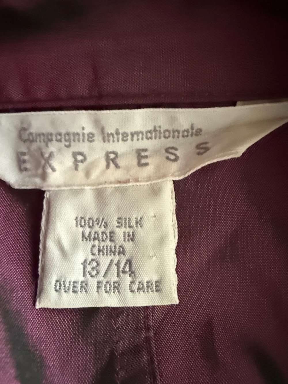 Express Silk Top in Plum in size 13/14